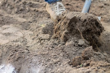 Kot pantolonlu ve mokasenli bir adam kürekle toprağı kazıyor. Bahara sebze ekmeye bahçe hazırlıyorum.