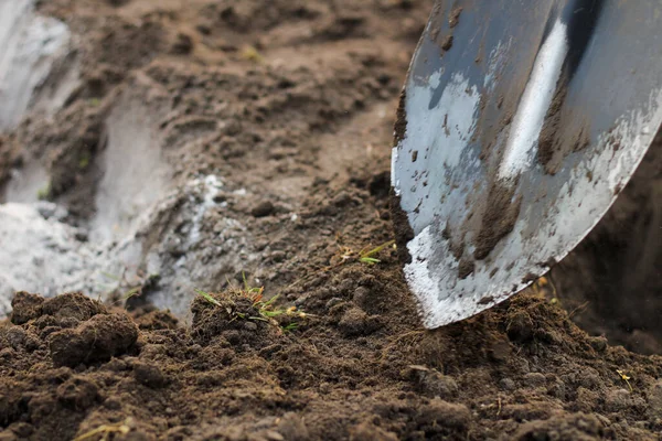 Man Blue Jeans Laced Moccasins Digs Ground Shovel Preparing Garden — Stock Photo, Image