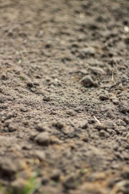 Toprağın seçici odak noktası, bulanık kenarlar, yan görünüm