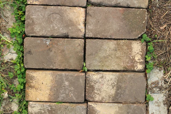 Padrão Textura Tijolos Pavimentados Velhos Com Grama Verde Redor Das — Fotografia de Stock