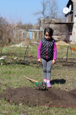 Beyaz saçlı, açık havada at kuyruklu beyaz bir kız ellerinde uzun tahta bir sopa tutuyor. Anaokulu öğrencisi bahar bahçesinde ebeveynlere yardım ediyor.