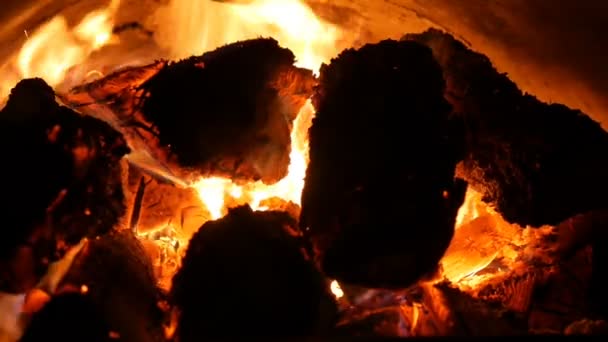 Полум'я обволікає деревину в залізній печі . — стокове відео