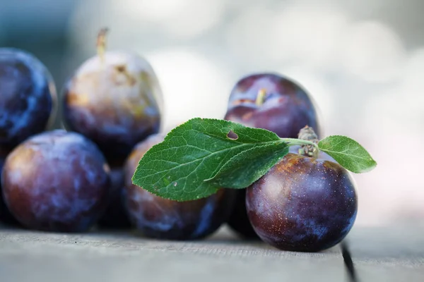 Natural organic blue plums on wooden table. Farmers fruits still life photography, selective focus beautiful bokeh