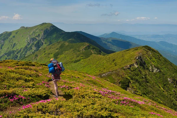 Trekker woman walking on the flowers field in the mountain — Stock Photo, Image