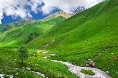 Kafkasya, Kazbegi, Georgia, Svaneti fırtınalı Nehri ile Yeşil Vadi