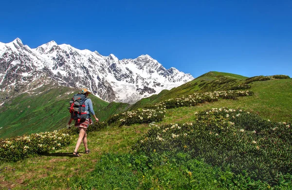 Tourist with large backpack rises on mountain trail with view of the Lardaard ice-fall in Georgia Svaneti — Stock Photo, Image