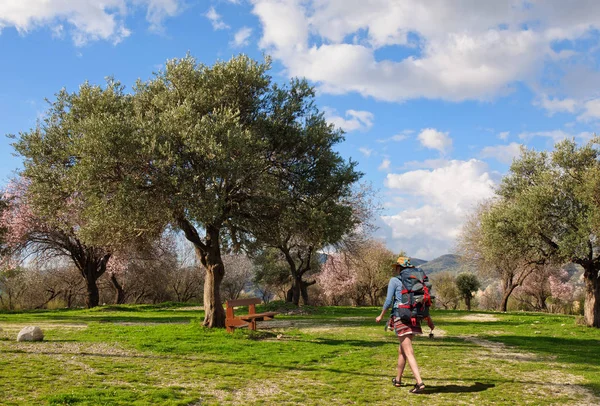 A young girl with a big backpack goes to rest on a bench under the old olive tree — Stock Photo, Image