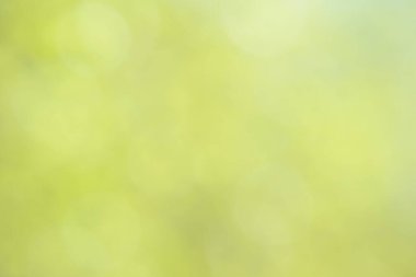 Bulanık bokeh doğa geçmişi. Parkın ya da bahçenin soyut doğal arkaplanı. Yaprakları ve sapları olan bitkilerin yumuşak odaklı fotoğrafı. Ağaç, çalı ya da çim bokeh etkisinden yapılır. 