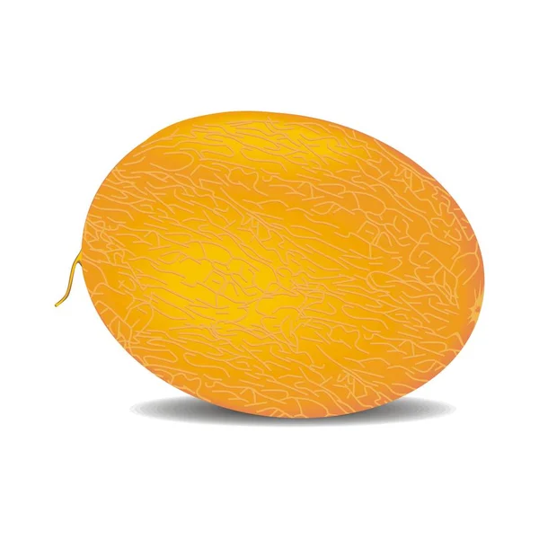 kavun