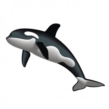 Vektörel clipart katil balina