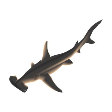 Vektör klip sanat çekiç kafalı köpek balığı