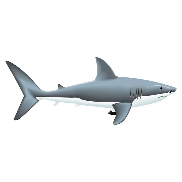 Requin clip art vectoriel — Image vectorielle