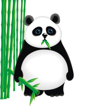 Vektör klip sanat panda