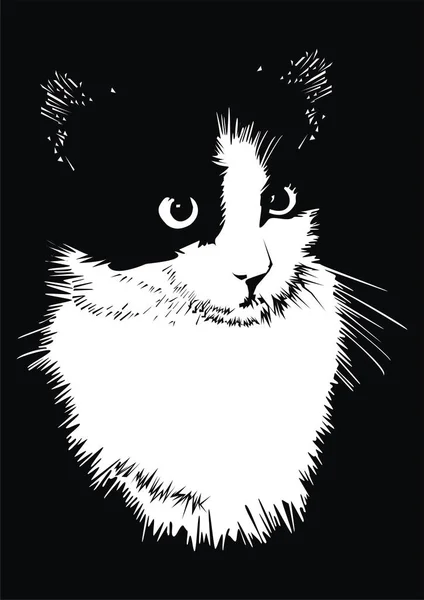 Vektorillustration einer schwarzen Katze — Stockvektor