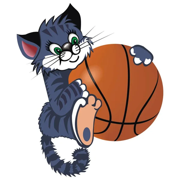 Vektoros illusztráció egy macska-val kosárlabda labda — Stock Vector
