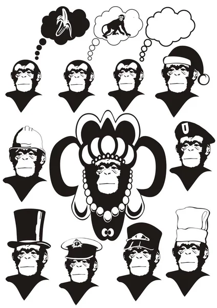 猿のベクトル描画 — ストックベクタ