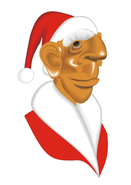 Portrait du Père Noël klaus en vecteur — Image vectorielle