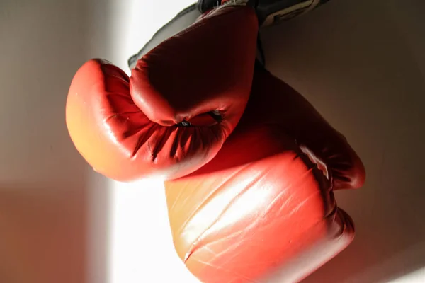 Rękawice bokserskie wiszące — Zdjęcie stockowe