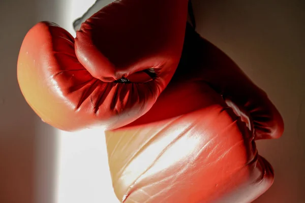 Rękawice bokserskie wiszące — Zdjęcie stockowe