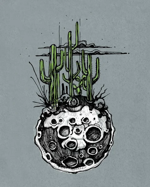 Moon with cactus illustration