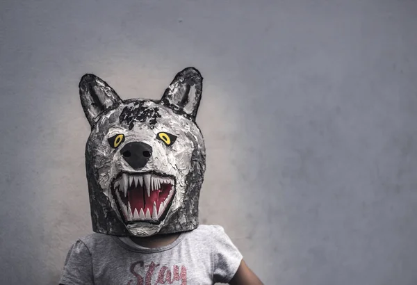 Kid with carton wolf mask