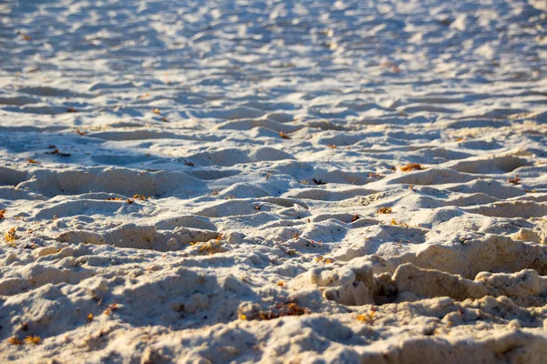 stock image Beach sand texture