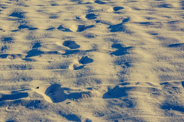 발 인쇄와 모래 해변 — 스톡 사진