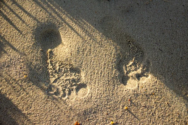 Quelques empreintes de pas sur la plage — Photo