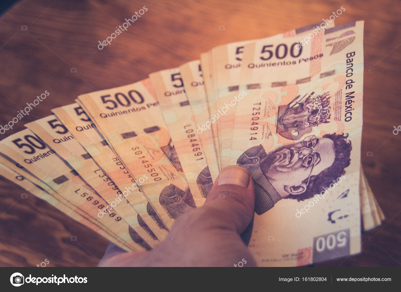 五百年墨西哥比索——图库图片© bernardojbp #161802804