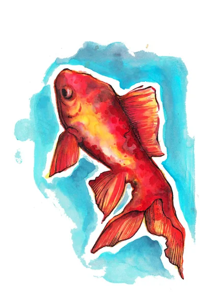 Japanese traditional fish watercolor — Stock Photo, Image