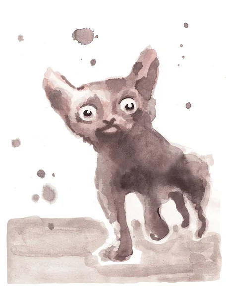 Küçük kedi suluboya resim — Stok fotoğraf