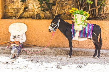 Meksikalı devrimci kostüm ve eşek adam