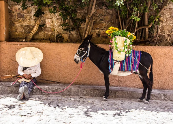 Meksikalı devrimci kostüm ve eşek adam