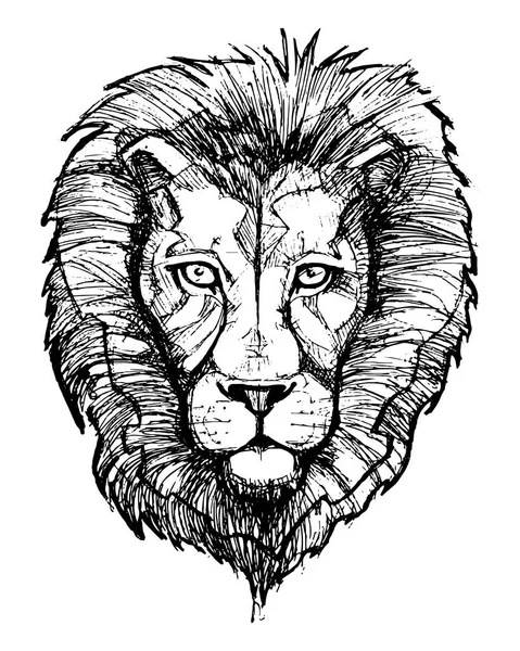 Löwenkopf Tinte Illustration — Stockvektor