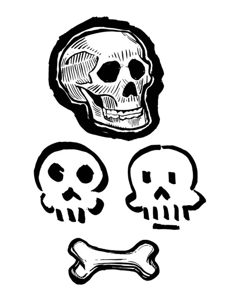 Skulls and bone ink illustration — Stock Vector