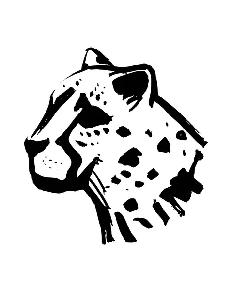 Ilustración Vectorial Dibujada Mano Cabeza Cheeta — Archivo Imágenes Vectoriales