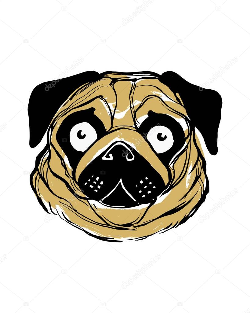 Hand drawn vector illustration of pug dog face