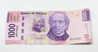 Bin peso Meksika bill