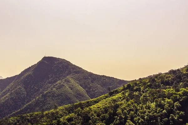 Observación Vista Del Bosque Verde Montaña Fondo Del Cielo Despejado — Foto de Stock