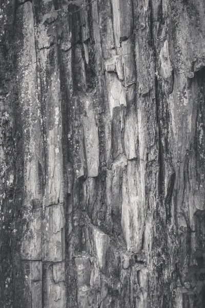 破旧的风化木背景的接近的看法 — 图库照片