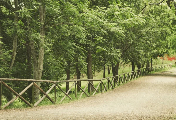 photograph of a path in a wooded area with a railing that divides the path of the forest