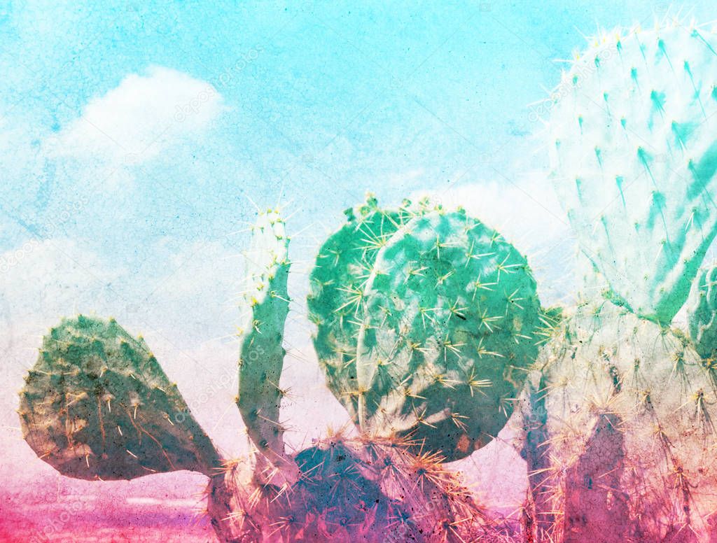 Photograph of some green nopal cactuses and color gradien