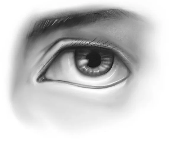 Human eye pencil hand drawn illustration