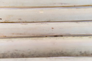 Bambu çit doku, bambu arka plan