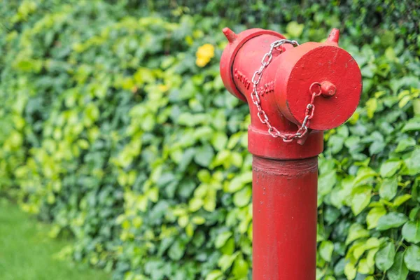 Hidrante de fogo vermelho cercado por grama verde — Fotografia de Stock