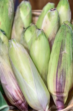 Ham organik sarı Seet Mısır hazır Cook için