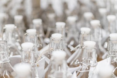 Fabrika içki ile doldurmak için boş cam şişelerde