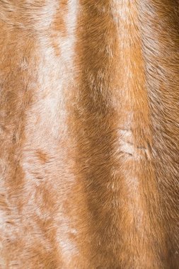 kumaş dokusu yakın çekim