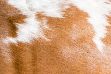 kumaş dokusu yakın çekim