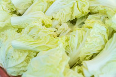 Çin lahanası veya Napa lahana